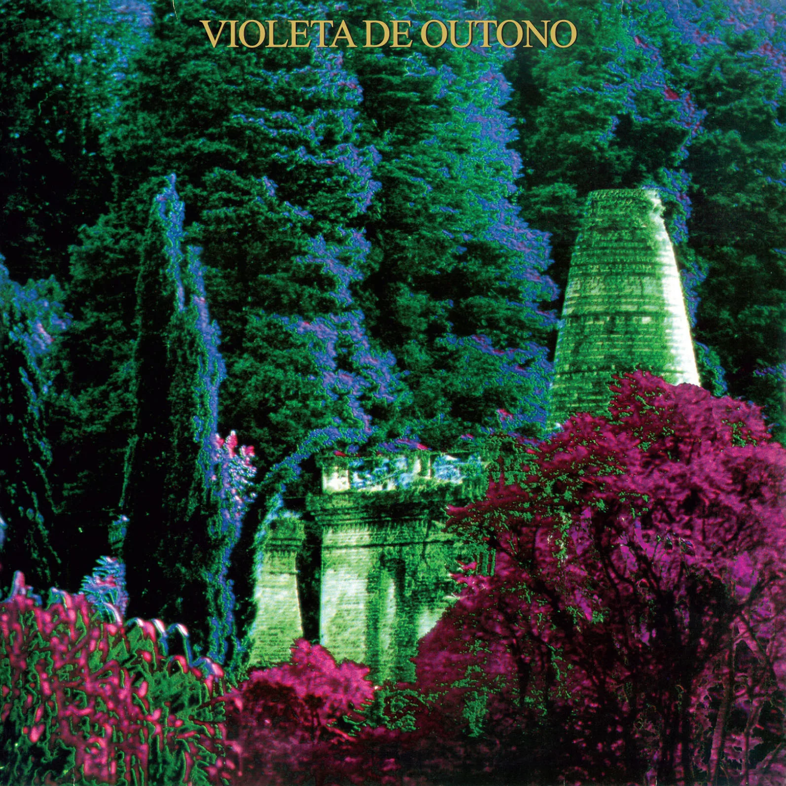 Violeta de Outono: A Harmonia entre poesia e rock progressivo