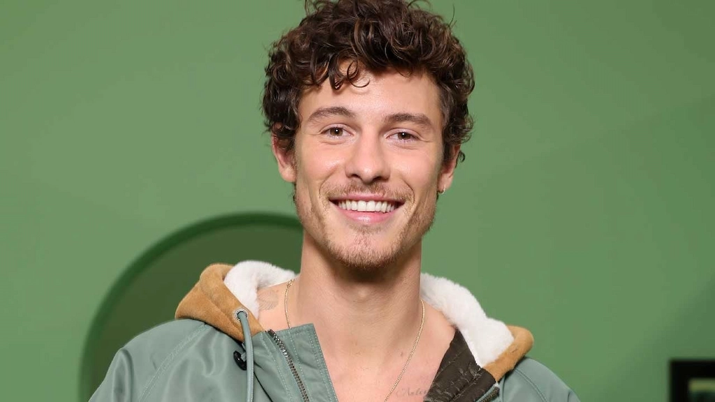 Shawn Mendes encanta fãs com cover de clássico do country rock
