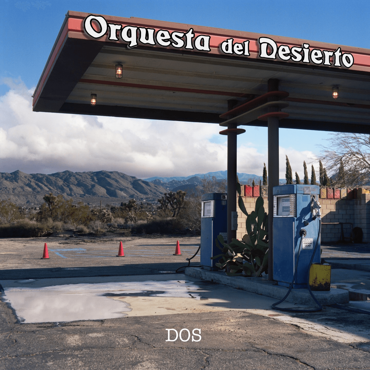 Conheça a Orquesta del Desierto.