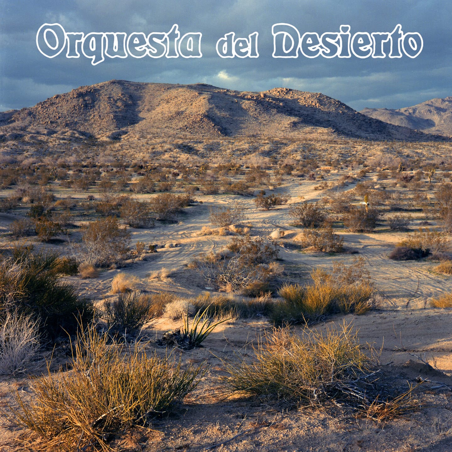 Conheça a Orquesta del Desierto.