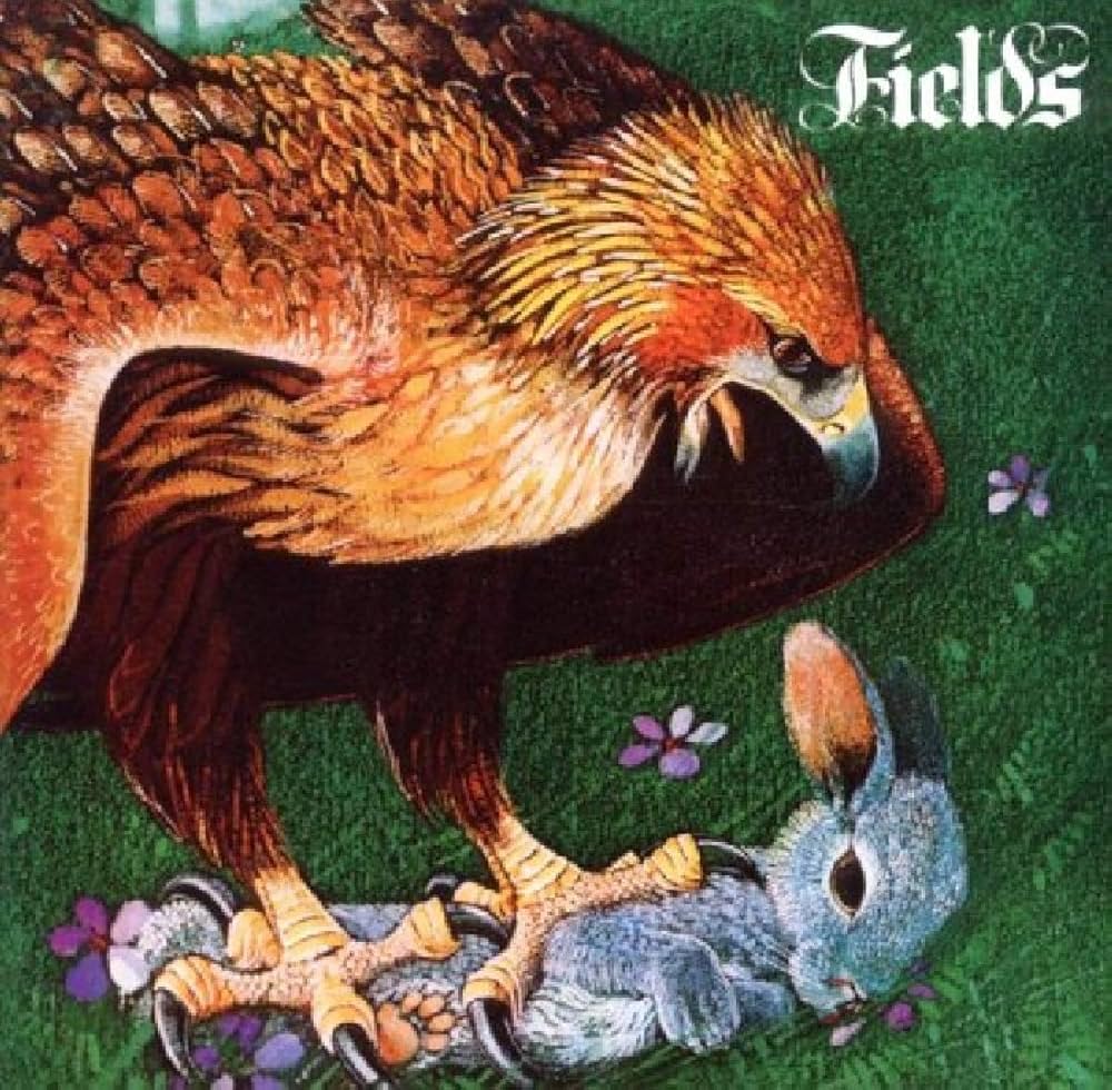 Rock Rarity apresenta: FIELDS