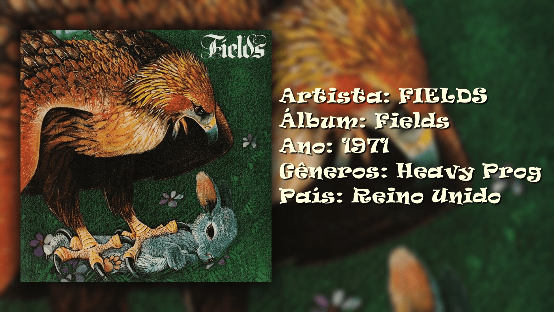 Rock Rarity apresenta: FIELDS