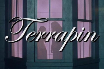 Clairo compartilha videoclipe de Terrapin, com participação de “Weird Al” Yankovic