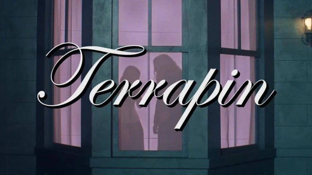 Clairo compartilha videoclipe de Terrapin, com participação de “Weird Al” Yankovic
