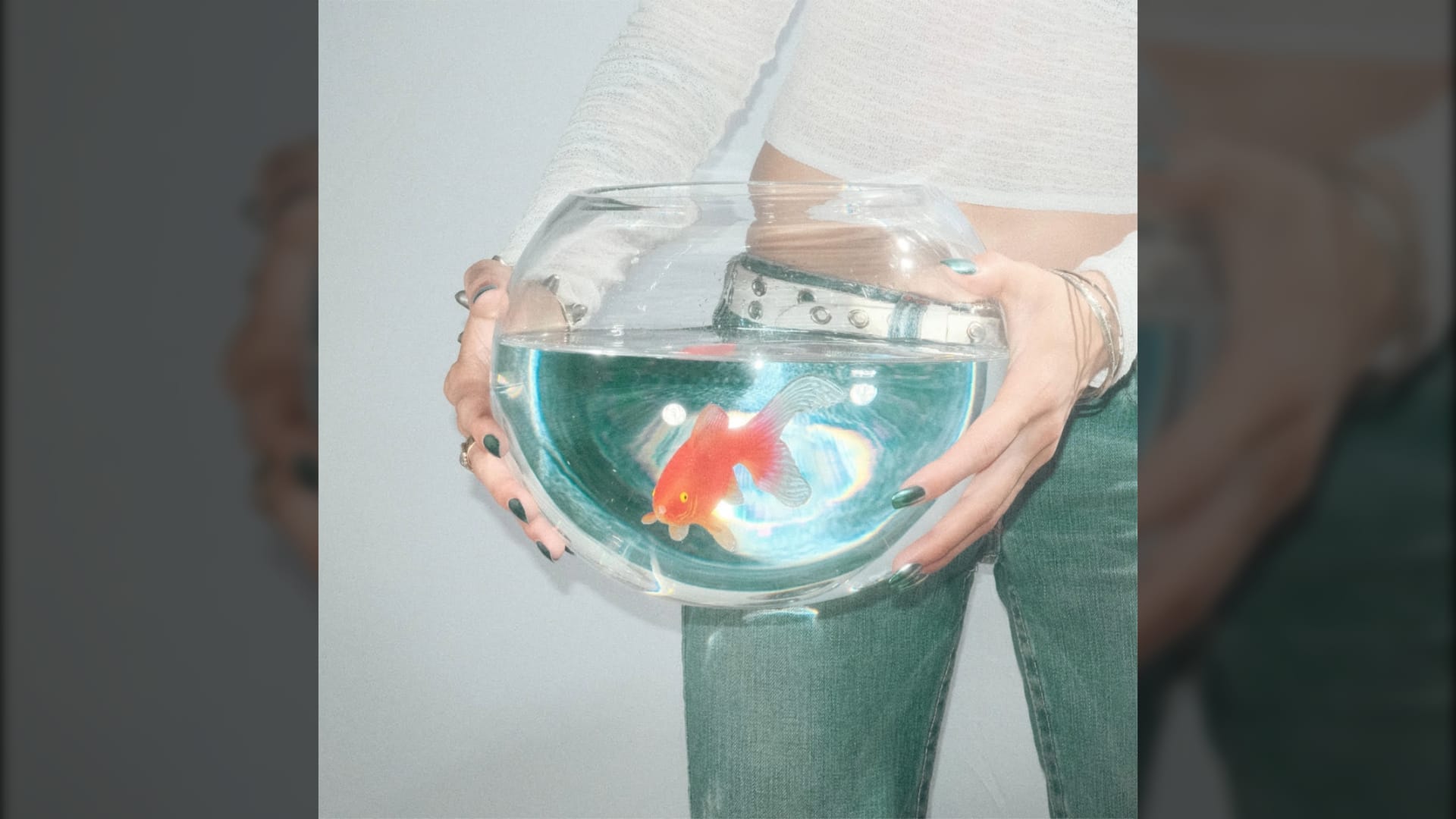 O fish narc e seu álbum frog song são a prova de que o rock está vivo e se atualizando