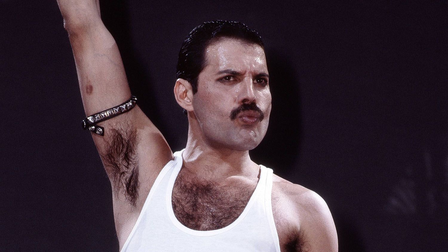 Livro de Freddie Mercury revela arquivos pessoais inéditos
