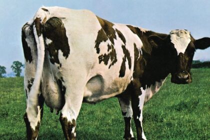 “Atom Heart Mother” e os 55 anos daquela vaca!