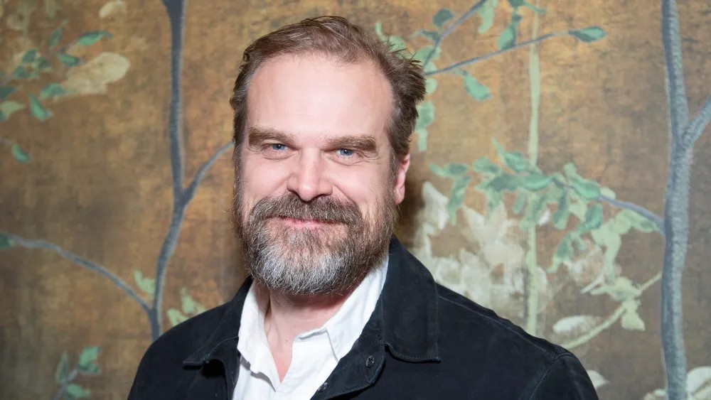 David Harbour fala sobre arrependimentos após polêmicas