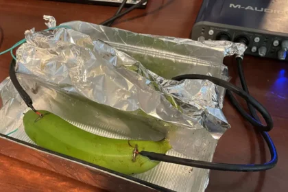 Audiófilos vs bananas, quem vencerá?