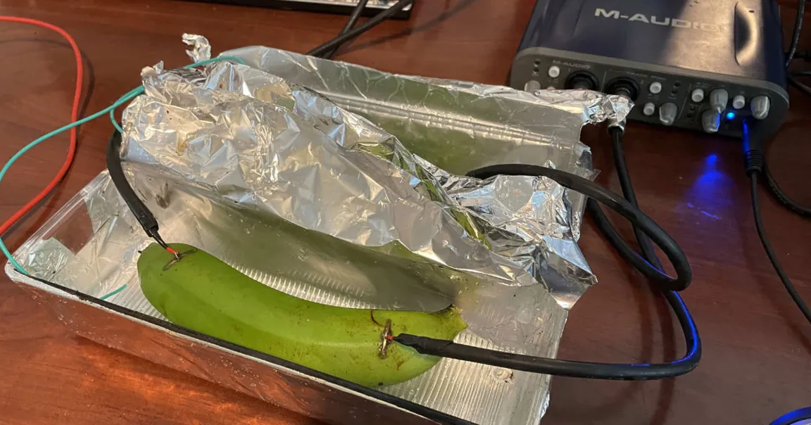 Audiófilos vs bananas, quem vencerá?