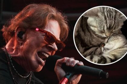 Axl Rose lamenta a morte de seu gato Whiskey Maranello Rose