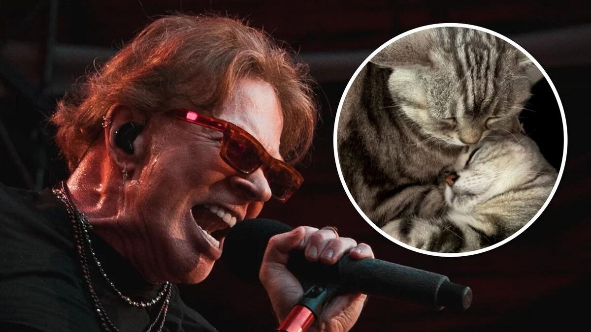 Axl Rose lamenta a morte de seu gato Whiskey Maranello Rose