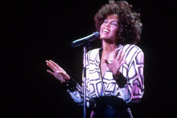Whitney Houston, Chicago, Tiffany. UNITED KINGDOM – JANUARY 01:  of Pete SEEGER; Pete Seeger performing on stage at a Paul Robeson benefit concert  (by Brian Shuel/Redferns)