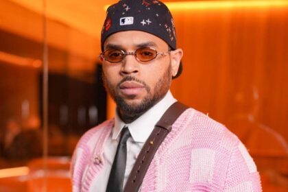 Juiz reduz indenização de Chris Brown por ataque de cachorro e pode conceder novo julgamento
